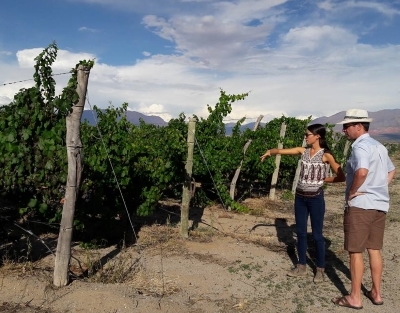 Gary being educated in Torrontes viticulture by the winemaker at Burbujas de Altura winery in Cafayate