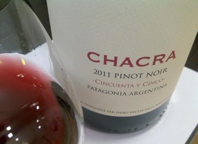 Pinot Noir really benefits from the terroir and climate conditions in Patagonia