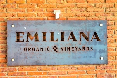 The largest extension of organic vineyards in the world, Emiliana in Casablanca Valley, Chile