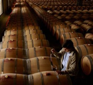 Fin del Mundo (end of the world) winery is a quality and large scale operation