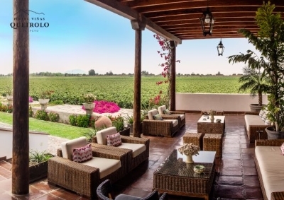 The only authentic wine hotel in Peru and luckily it is very nice indeed, within the vines as you can see.