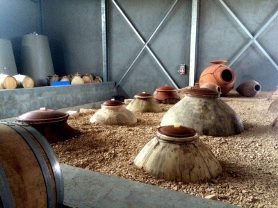 Similar to Georgia, Armenia has traditionally buried its karas or amphora as we see here at Zorah winery