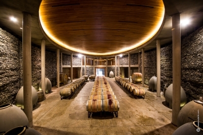 The beautiful cellar at Matetic Winery, enjoy a premium tasting here with us, and stay overnight?