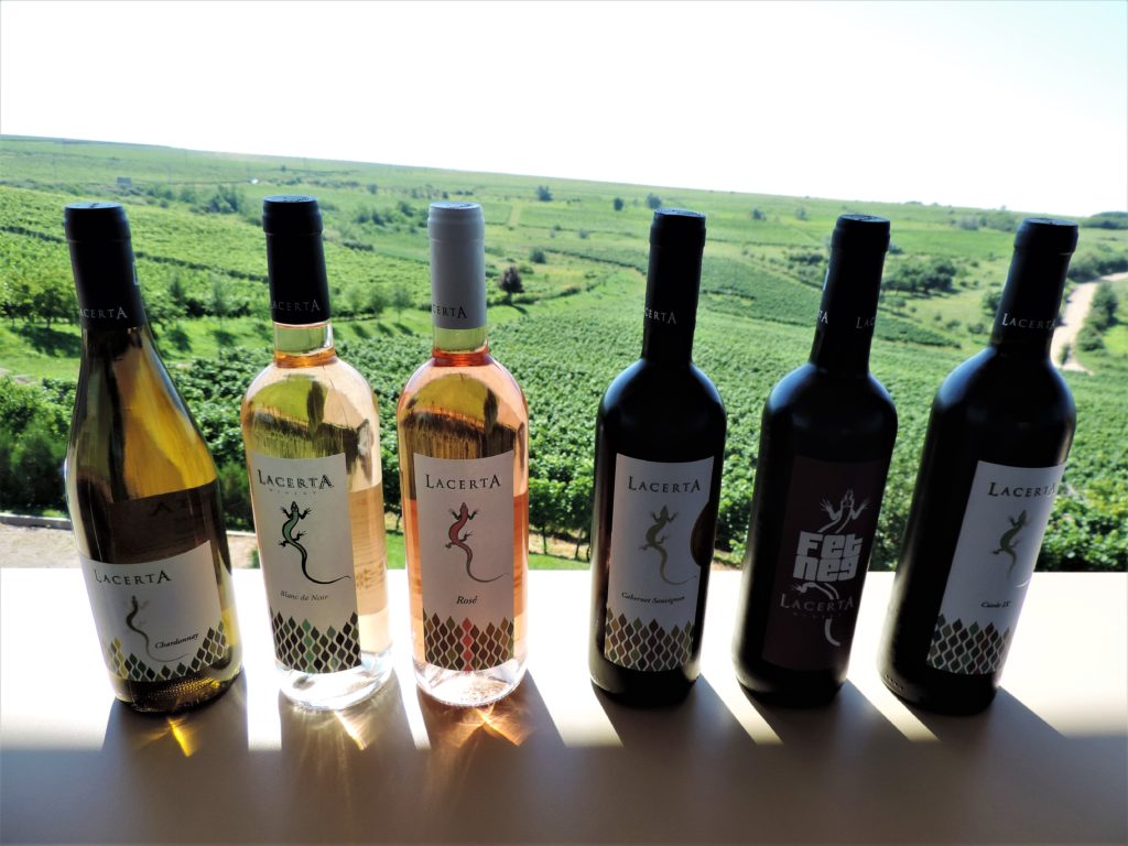 The Lacerta winery in the Dealu Mare wine region of Romania is truly lovely