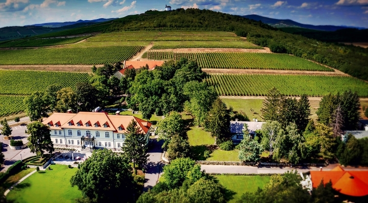 Wine hotels dont get much better than the Degenfeld Castle hotel in Tokaj is a real treat, luxury, history and wine!