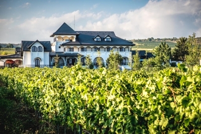 The Vinalia winery hotel is the perfect base for exploring Dealu Mare, Romania