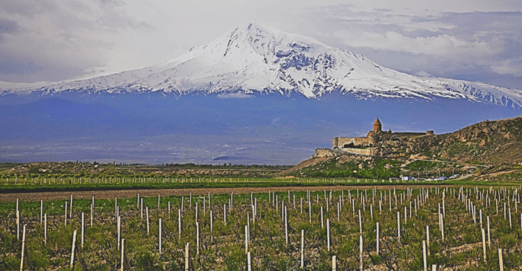 Vineyards in the shadow of the Biblical Mount Ararat on the Armenian / Turkish border.