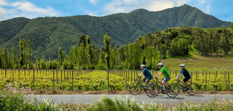 Enjoy Colchagua wineries from the seat of a bike