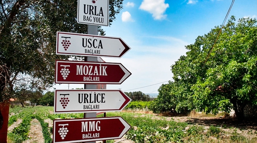 Aegean wine tours in Turkey