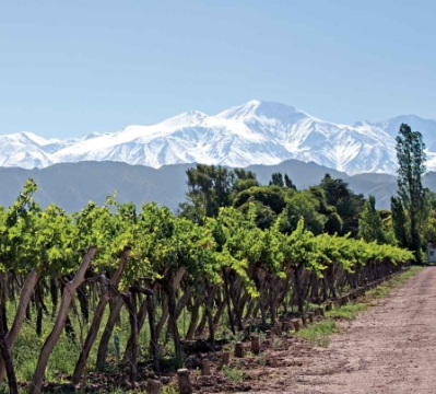Salta to Mendoza wine tours road trip