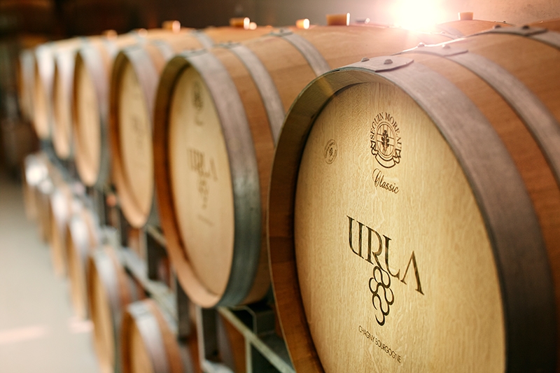 The cellar at URLA winery, you will love the tasting