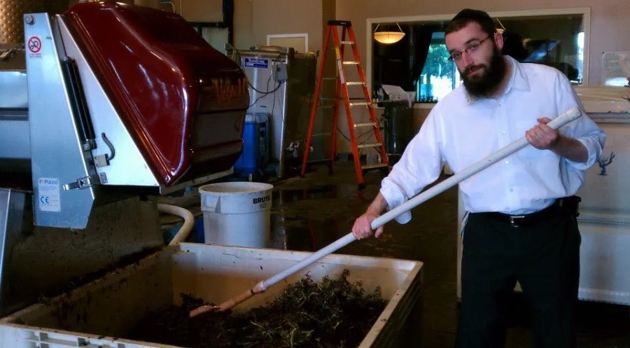 Strict handling of the winemaking process is required from the crush to produce Kosher wine