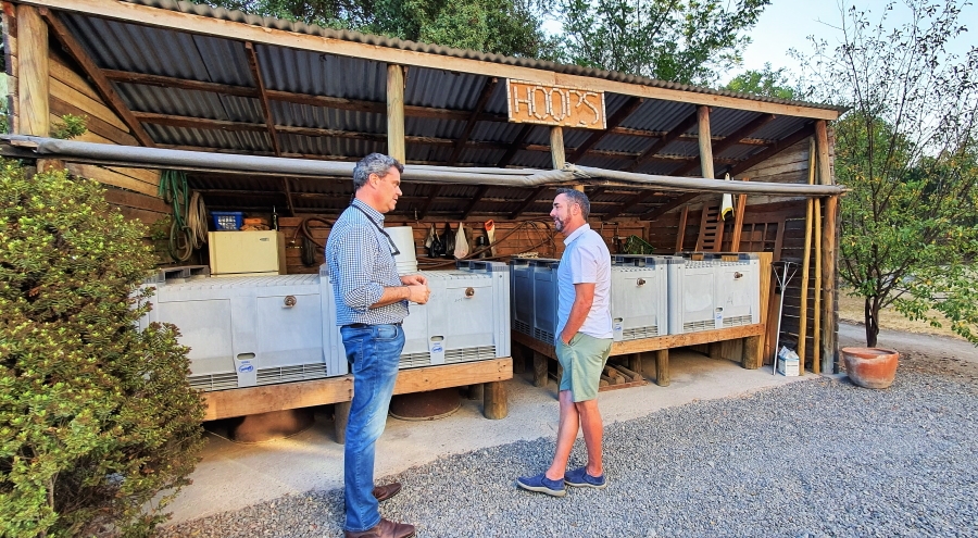 Boutique winery Hoops produces a field blend in plastic tanks