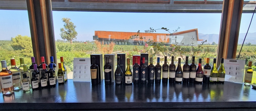 Santa Ema bottles, tasting, vines and winery - enjoy!