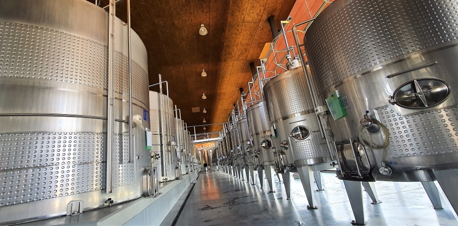 Large scale, high tech tank room at the Santa Ema winery