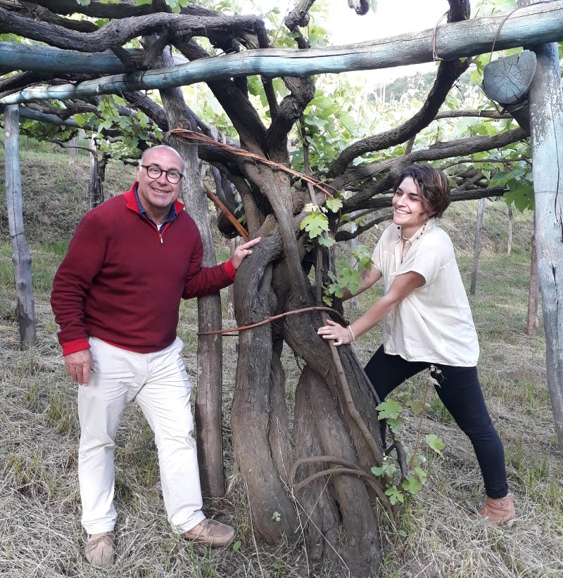 Some of these vines are over 150 years old, Amalfi wine reflects its long history