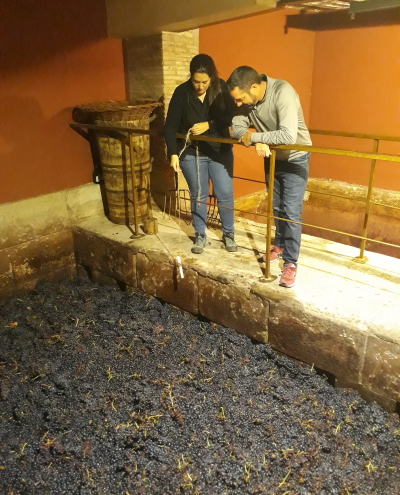 Our La Rioja wine tours will include some "old school" wineries