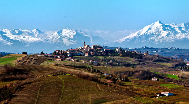 Piemont wine tours