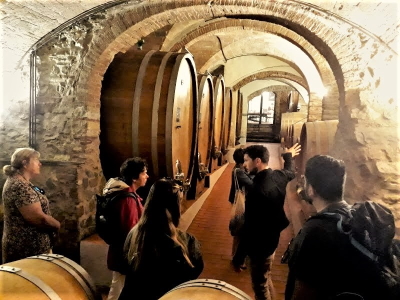 Touring and tasting in Super Tuscan cellars