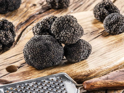 The highly prized black truffles from Northern Italy