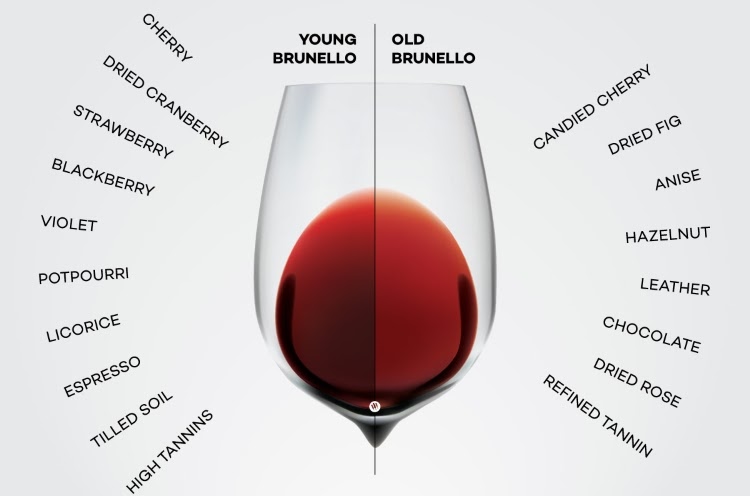 Brunello is one of the great wines of the world and this graphic shows its colour and aromas