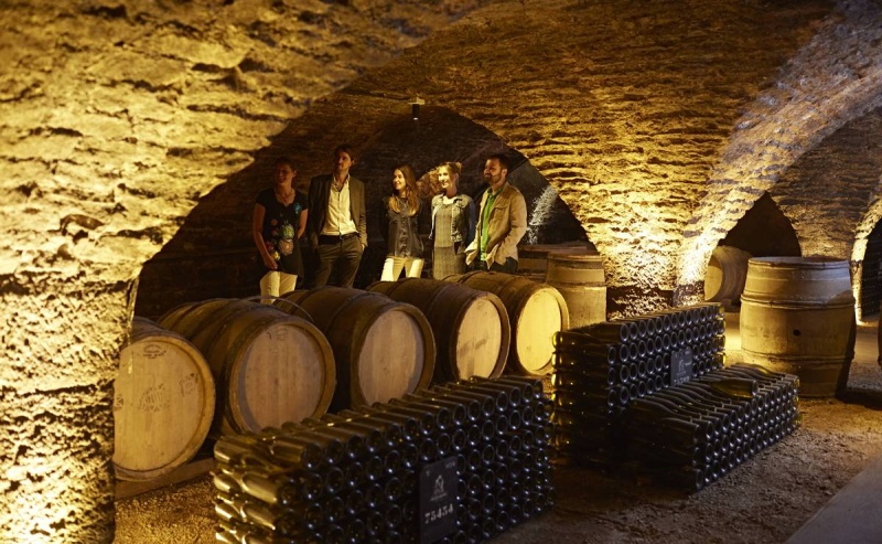 Probably the favorite place for wine enthusiasts to visit are the old cellars