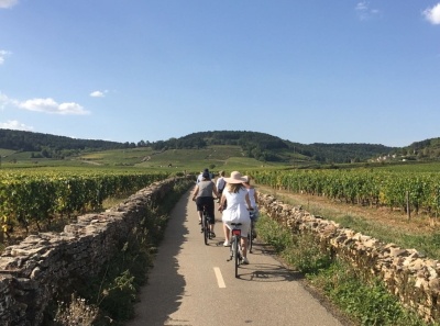 Cycling around Burgundy vineyards is a real treat
