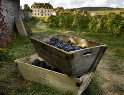 Visit some of the famous wineries on our Burgundy wine tours