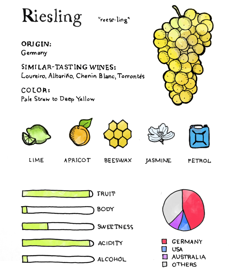 Wine Folly showing us the standard profile of Riesling