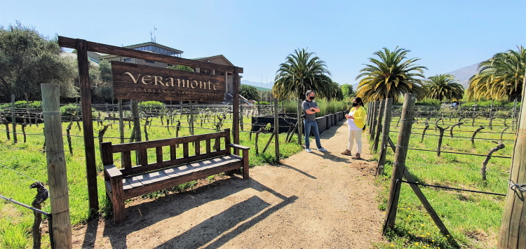 A visit of the vineyards at Veramonte winery in Casablanca, Chile