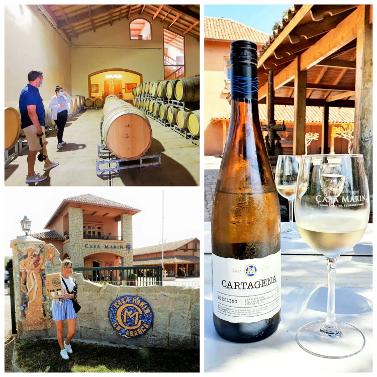 We loved our visit to the Casa Marin winery and you will too!