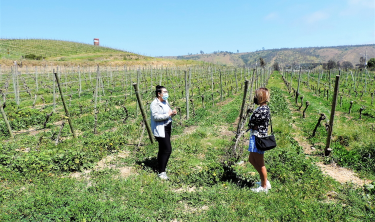 Malka getting up close and personal with Chilean Gewurtztraminer