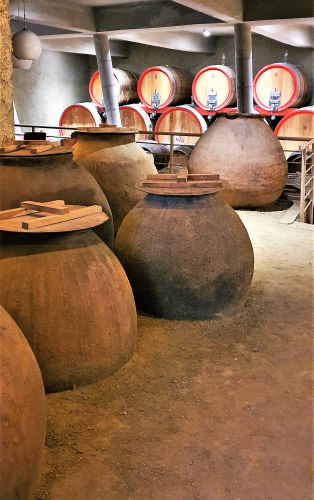 Oak and amphorae being used at RE winery