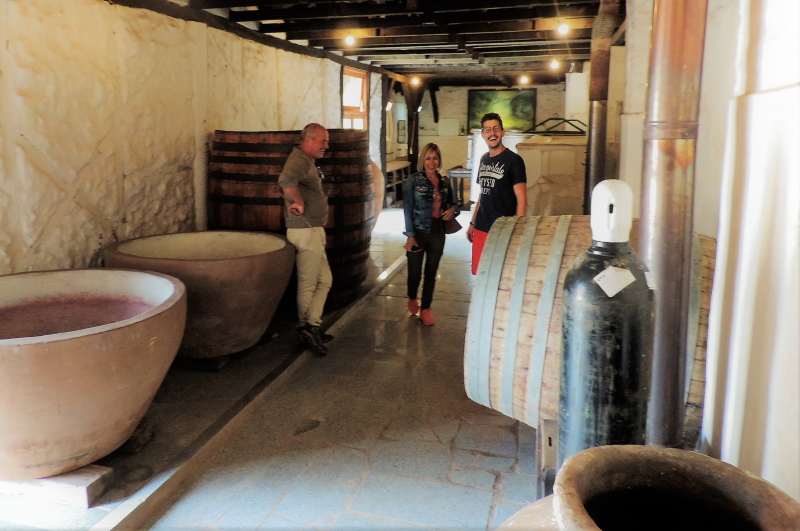 How many types of fermentation vessels can you get in one winery!