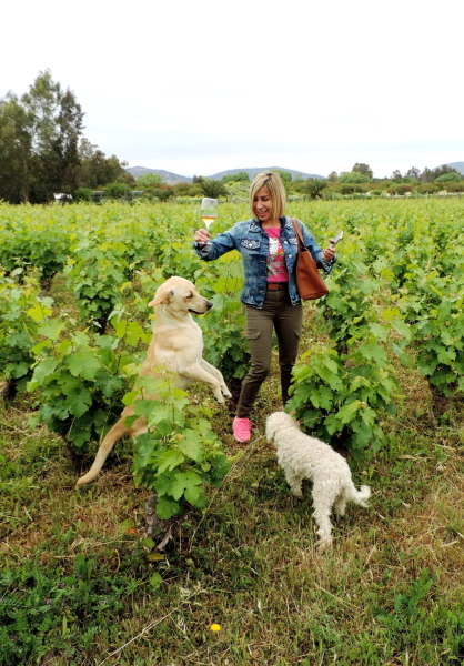 Vineyard helpers at Clos Santa Ana