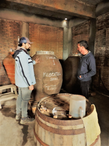 Innovation in winemaking is creeping into the Itata valley