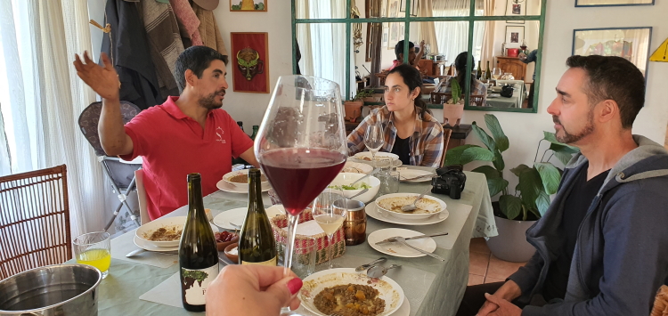 Passion for Pais | Pais Grape | Wine Tours in Chile | Pipeño Wine