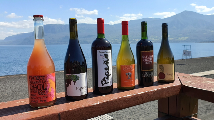 Pucon photo shoot for our bottles from Yumbel
