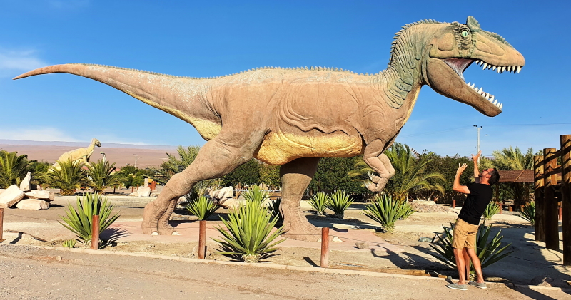 The dinosaur park in Pica is well worth a visit
