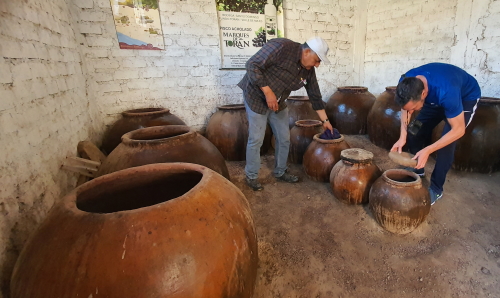 The oldest amphorae in Peru, some of these date from 816