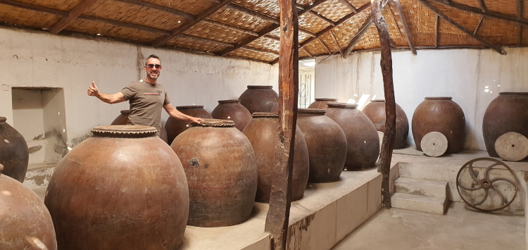 Lots of old winemaking amphorae at the Reinoso winery