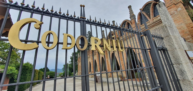 Royalty in the Cava world, no Penedes wine tour is complete without Codorniu