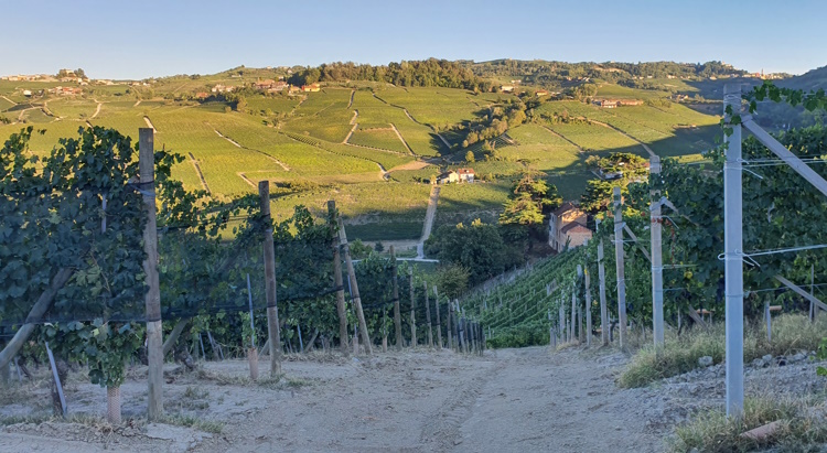 Picture perfect Piemonte one of our Barolo wine tours