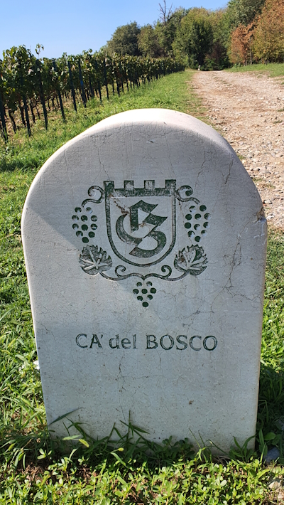 The vineyards of CA del BOSCO