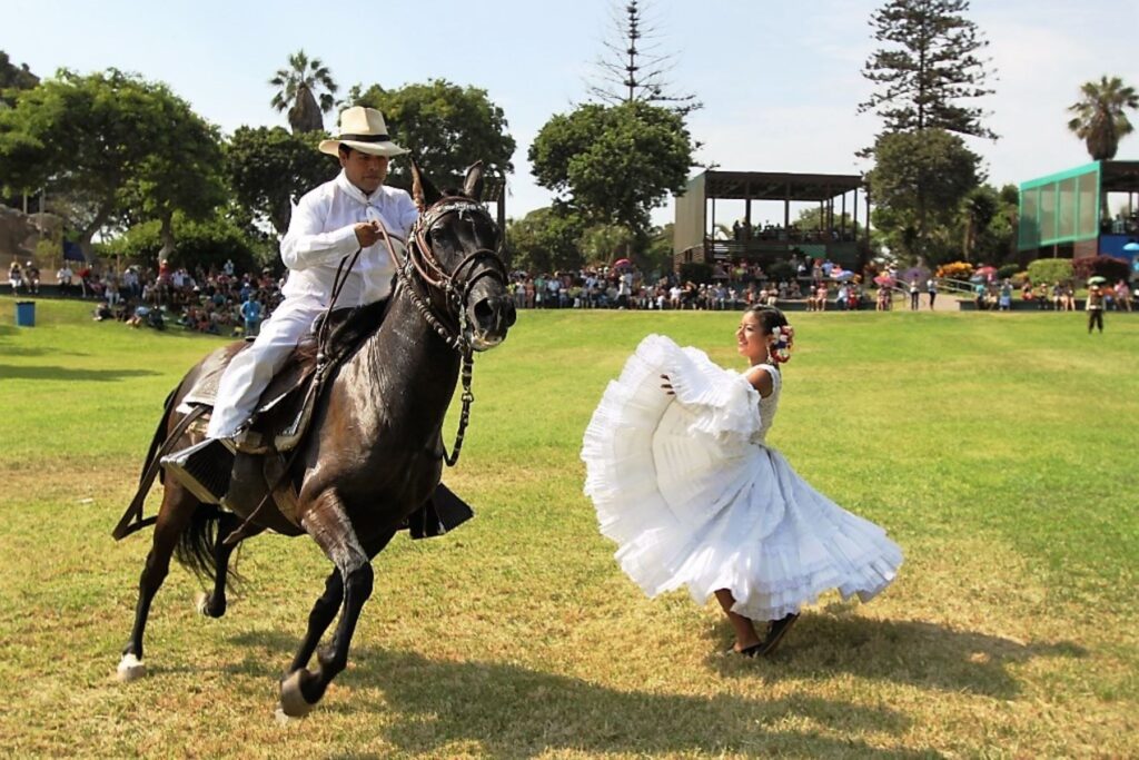 Peruvian Paso horses "dancing" is a wonderful thing to behold