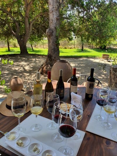 Emilianas wines are great quality and you will enjoy an extensive tasting on your tour
