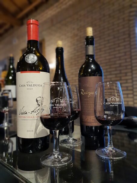 Enjoy a wine tasting at the Casa Valduga winery in Serra Gaucha